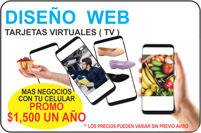 WEB_NV_DISEÑO WEB_1500